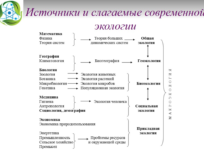 Источники и слагаемые современной экологии